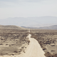 Image for article titled Inside California's Forgotten Grasslands